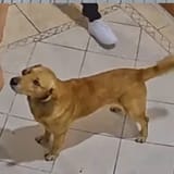1723144542927100