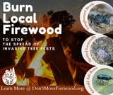 Canva_Facebook_Burn-Local-Firewood-2-1648979178