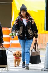tina-fey-walking-her-dog
