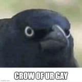 42d3os