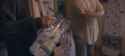Sarah Gadon Robert Carlyle North Of Normal_thumb.jpg