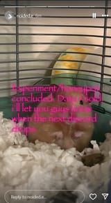 ehhh