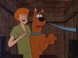 Scooby Doo