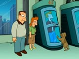 jurrasic bark