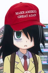 13433590378476
