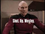 Shut up Wesley