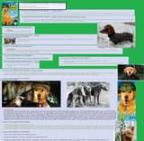 1458611639978