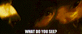 c5441200-799b-4dc8-8b05-03178b0a83c1_text
