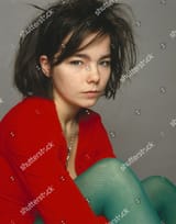 björk gudmundsdottir the sugarcubes