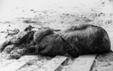 St_augustine_carcass