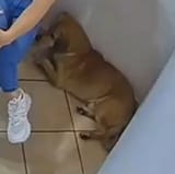 5917818718