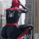 Spider Poop_thumb.jpg