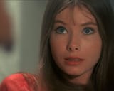 lynn-lowry-1973-1975-v0-0ze1zokvqmcf1