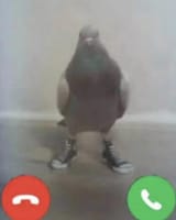 1752466839820859