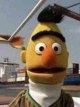 bert react 1686118679685381