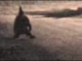 1610141658543