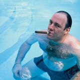348d3f4a520447a43b969323f2bd826fe9-gandolfini-pool-cover.rsquare.w768