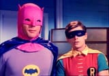 bats