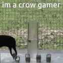 crow-gaming_thumb.jpg