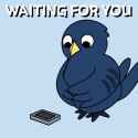 crow-waiting_thumb.jpg