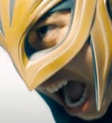 bird noises