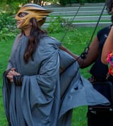 dumb bird