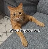what happened