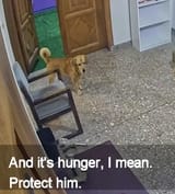 1752440694210668