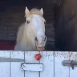 1749107183662848