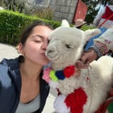 278347141_isabelamerced_278401830_1126346758148928_9057281327488658989_n