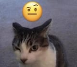 ...!?!?