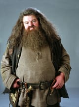robbie-coltrane-hagrid-nc-jt-221014_1665771981975_hpEmbed_11x15