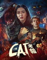 the cat