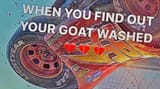 goat_washed-2230892501