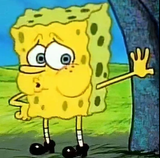 sponge