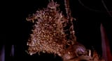 BagOfBugs