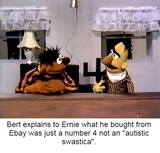 bert number 4