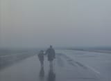 Topio stin omihli (Landscape in the Mist) (1988).mkv_20240302_235953.153