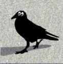 cuervo-raven_thumb.jpg