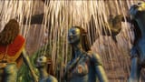 Neytiri_5210