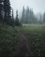 004dbdfed42057c554d473bdbb44209a