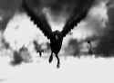 raven-dark_thumb.jpg