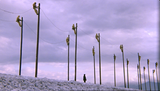 Stork_Poles_630_358