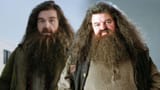 nick-frost-hagrid-2