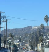 IMG_6449
