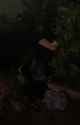 ellie new haul_thumb.jpg
