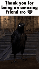 cro-raven