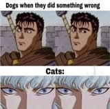 6432673