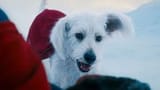 krypto
