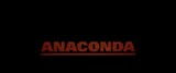vlcsnap-2025-02-06-22h46m38s402